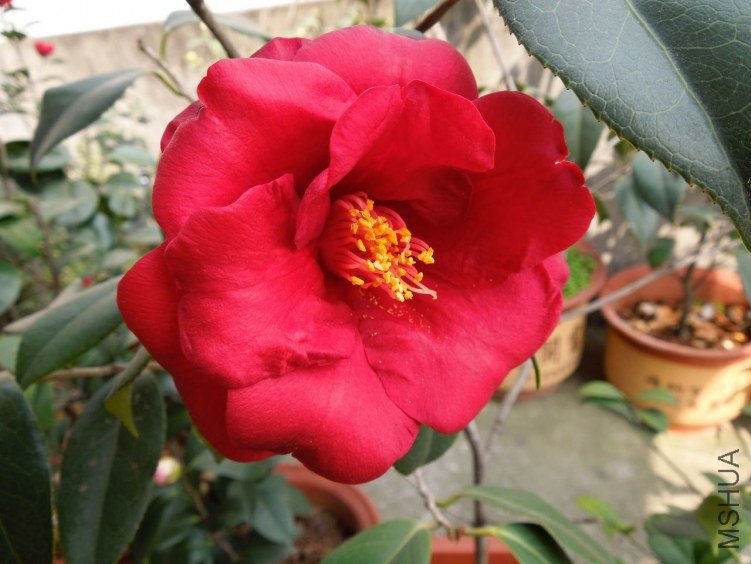 DSCN3072.JPG