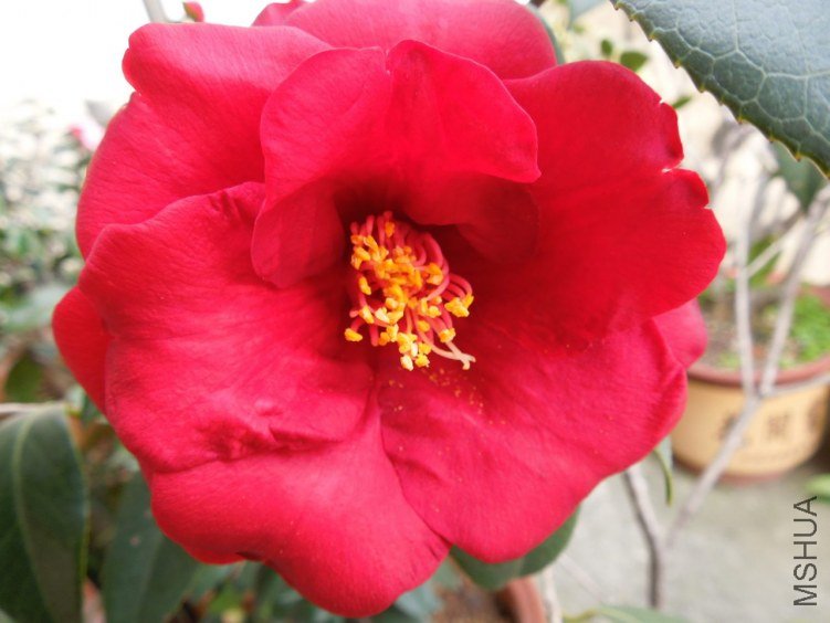 DSCN3073.JPG