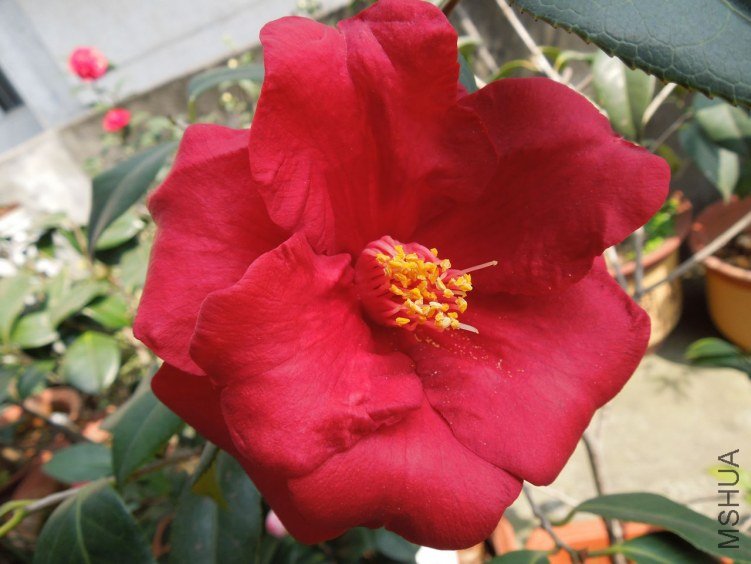 DSCN3094.JPG