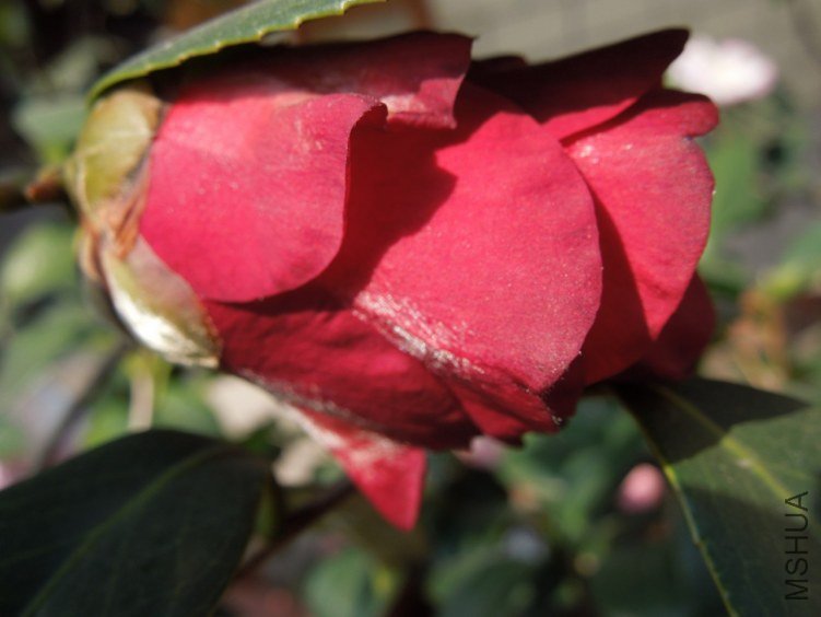 DSCN3112.JPG