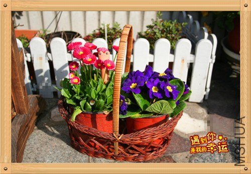 ��Ƭ 053_����.jpg