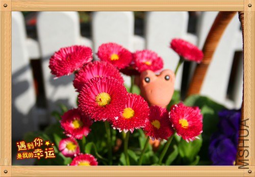 ��Ƭ 054_����.jpg