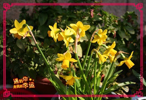 ���� ��Ƭ 095_����.jpg