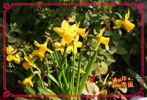 ���� ��Ƭ 097_����.jpg