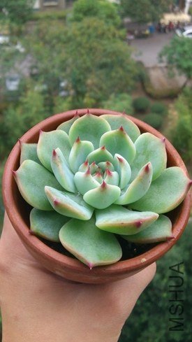 DSC_0564.jpg