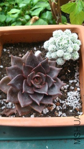 DSC_0577.jpg