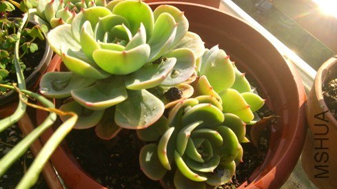 DSC_0663.jpg