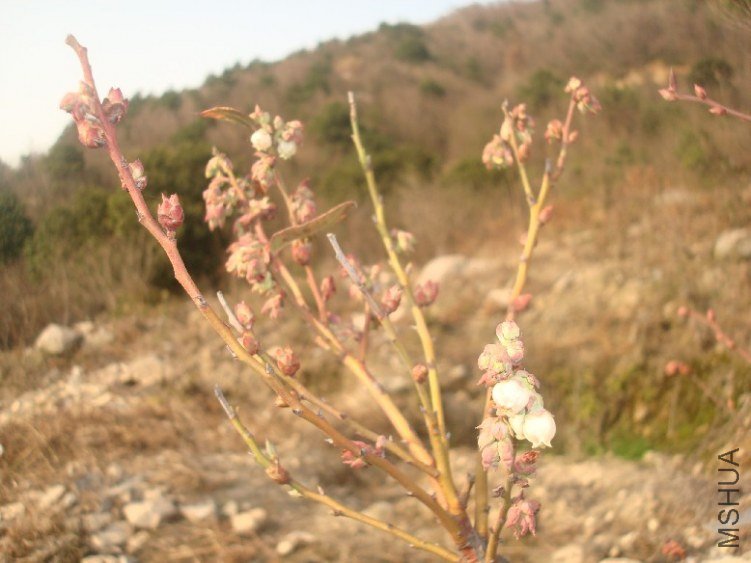 DSC04792.JPG
