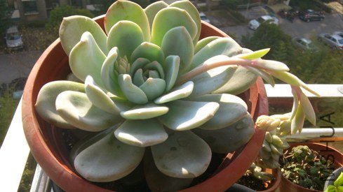 DSC_0699.jpg
