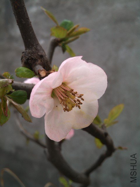 IMG_20130306_085306.jpg