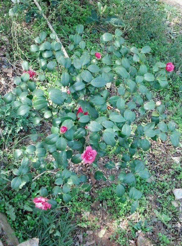 �ƹ���û�����㲻����