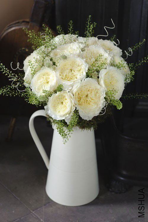 ����6 of Rosarian.jpg