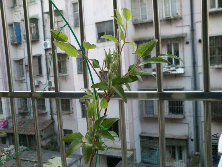 ��030701.jpg