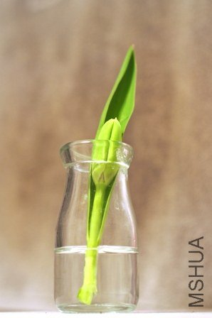 1  2013 03 02�����۶�