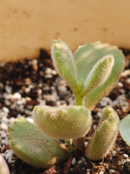 2013��3��3�յĽ���