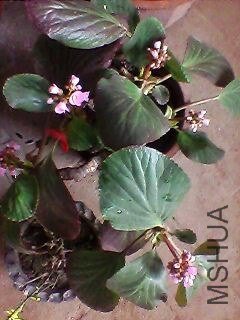 130217A053.jpg