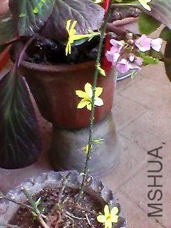 130222A060.jpg