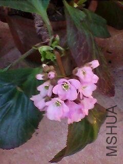130222A061.jpg