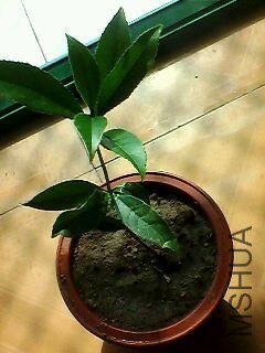 130305A077.jpg