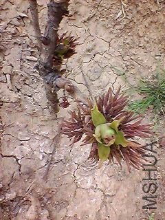 130307A083.jpg