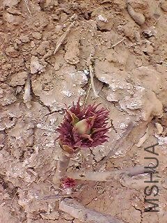 130307A084.jpg