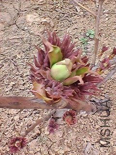 130307A085.jpg