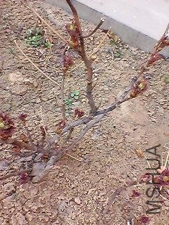 130307A086.jpg