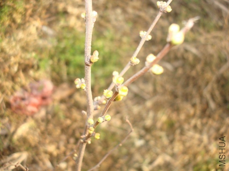 DSC04812.JPG