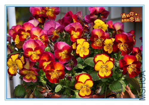 ��Ƭ 029_����.jpg