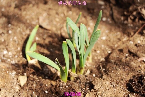 nEO_IMG_��Ƭ 280.jpg