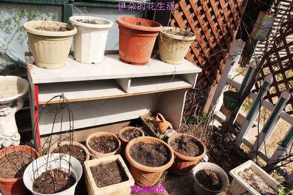 nEO_IMG_��Ƭ 284.jpg