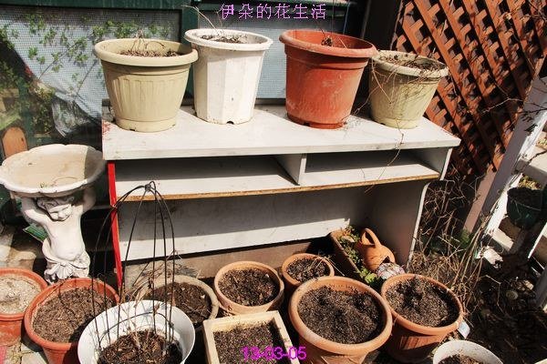 nEO_IMG_��Ƭ 285.jpg