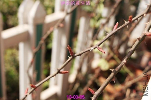 nEO_IMG_��Ƭ 286.jpg