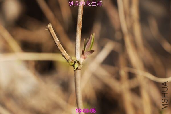 nEO_IMG_��Ƭ 288.jpg