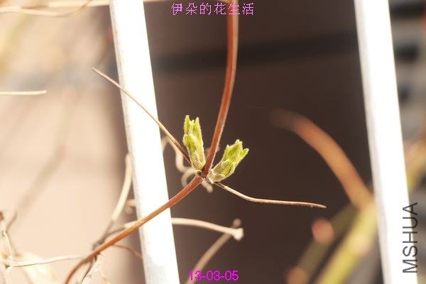 nEO_IMG_��Ƭ 281.jpg