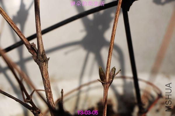 nEO_IMG_��Ƭ 282.jpg