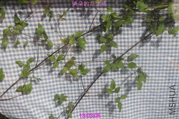 nEO_IMG_��Ƭ 283.jpg