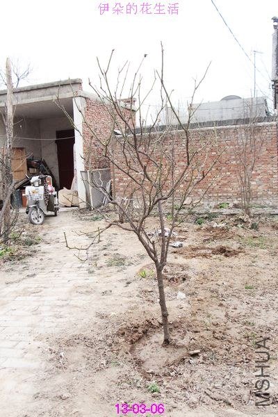 nEO_IMG_��Ƭ 305.jpg