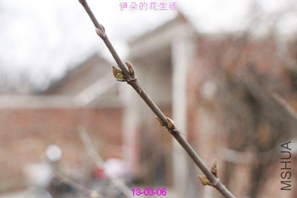 nEO_IMG_��Ƭ 302.jpg