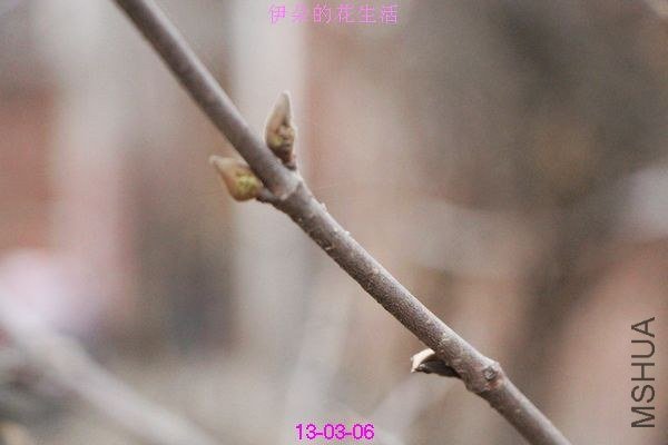 nEO_IMG_��Ƭ 303.jpg