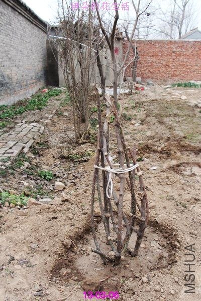 nEO_IMG_��Ƭ 290.jpg