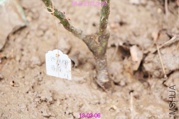 nEO_IMG_��Ƭ 291.jpg