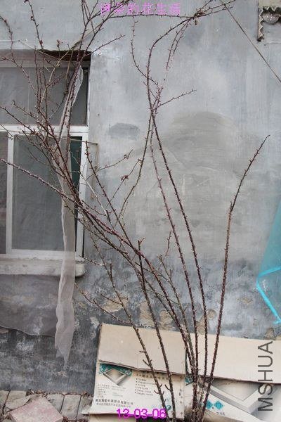 nEO_IMG_��Ƭ 292.jpg