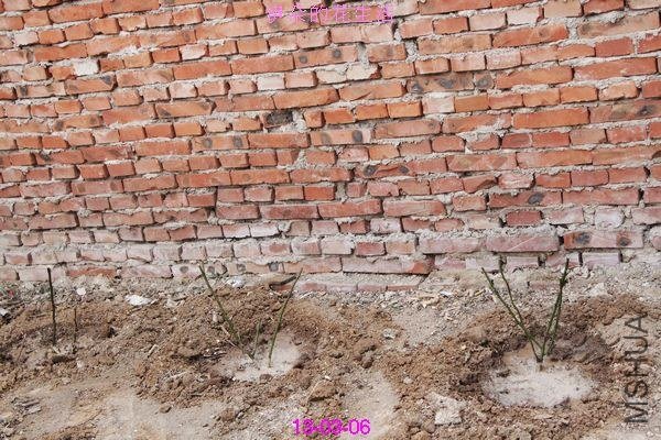 nEO_IMG_��Ƭ 295.jpg