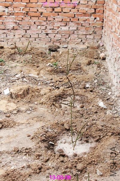 nEO_IMG_��Ƭ 296.jpg