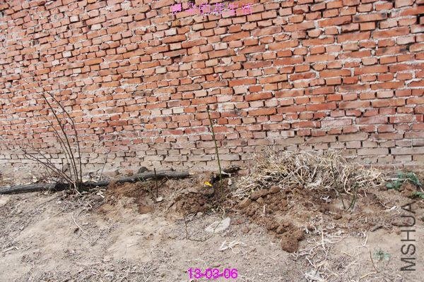 nEO_IMG_��Ƭ 297.jpg