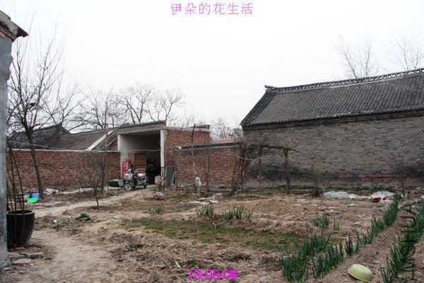 nEO_IMG_��Ƭ 298.jpg