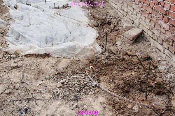 nEO_IMG_��Ƭ 299.jpg