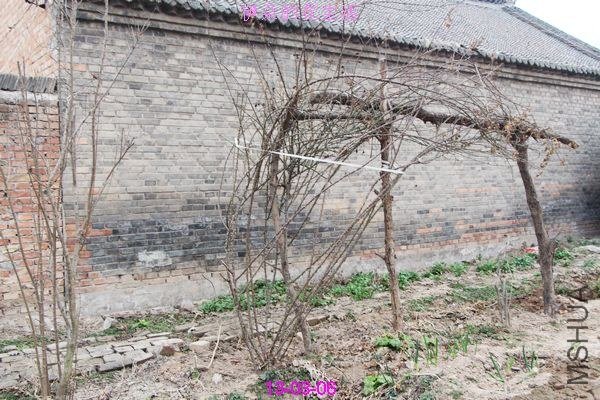 nEO_IMG_��Ƭ 301.jpg