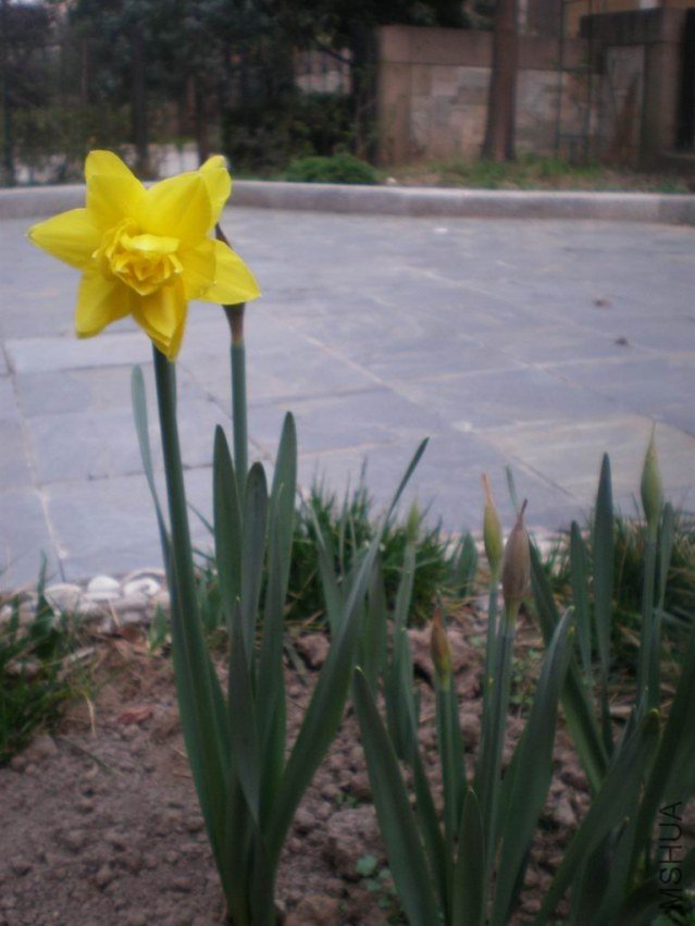 ������С ��ת P3070366.JPG